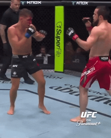 Ufc Dagestan GIF