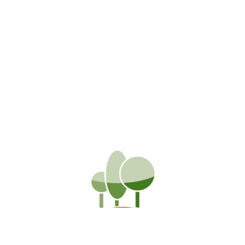 Wood Kraft Moray Sticker