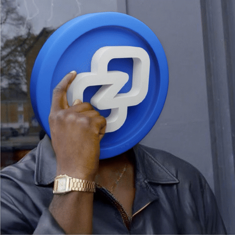 Crypto Privacy GIF by Zano Project