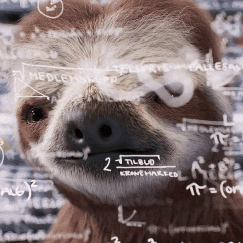 Math Sloth GIF by Coop Prix - fort gjort!