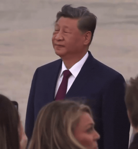 Mikolyants GIF by soviets funny collection