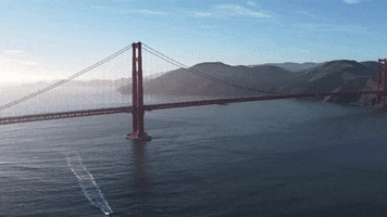 San Francisco California GIF by Yevbel