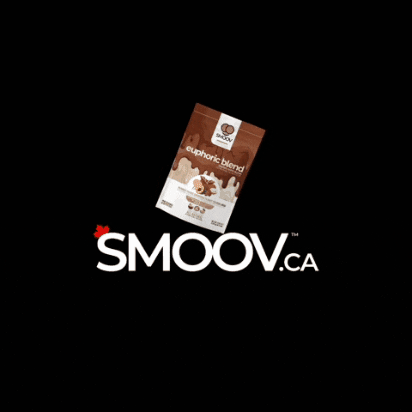 smoovblends chocolate superfoods GIF