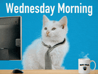 Wednesday-coffee GIFs - Get the best GIF on GIPHY