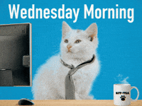 Wednesday-coffee GIFs - Get the best GIF on GIPHY Wednesday-coffee GIFs - Get the best GIF on GIPHY
