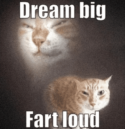 Cat Dreaming GIF