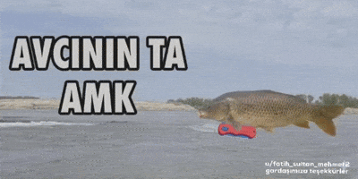 Furkington GIF