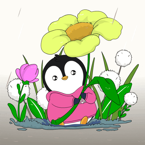 Raining Waiting For You GIF by Pudgy Penguins