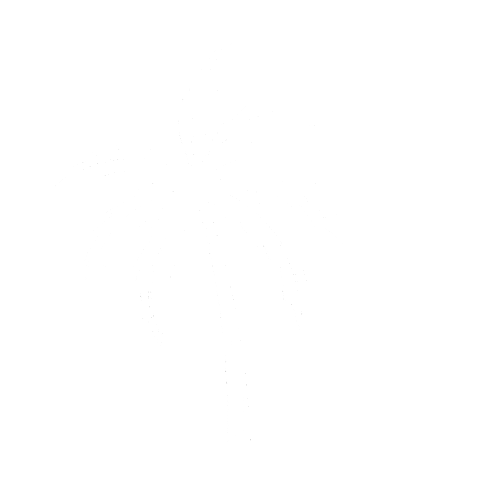 Palm Tree Thecoutureclub Sticker by ellesse