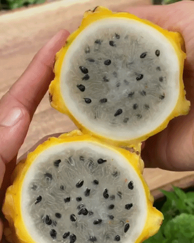 Dragonfruit Pitaya GIF by Miami Fruit