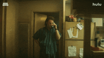 Pam And Tommy GIF by HULU