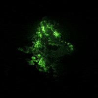 Loop Glow GIF by xponentialdesign