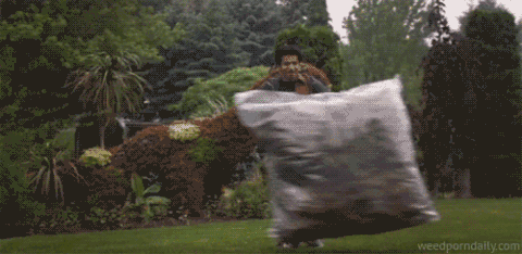 Harold And Kumar GIF - Find & Share on GIPHY