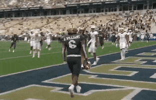 Football Touchdown GIF by UCF Knights