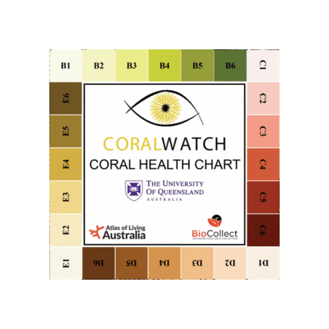 Coral Watch Sticker