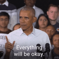 Youre Good Barack Obama GIF by The Democrats