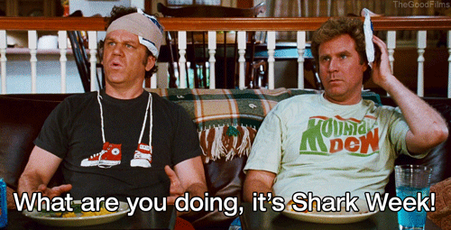 step brothers film GIF by The Good Films