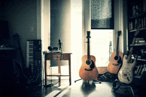 Jeremy Berman Put-In-Bay GIF