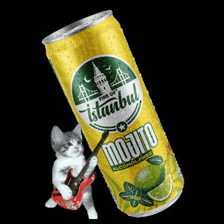 Mojito Foi GIF by SUNTAT