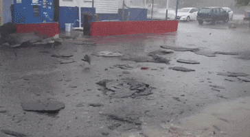 Puerto Rico Storm GIF by GIPHY News