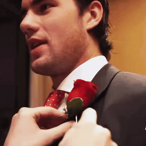 Washington Capitals Nhl GIF