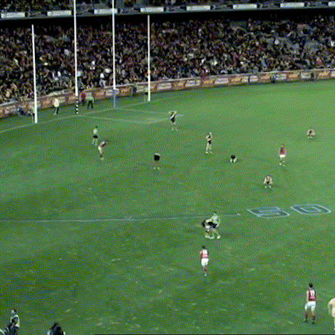 GIF by Essendon FC