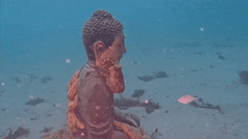 Buddha Statue Ocean GIF by Storyful