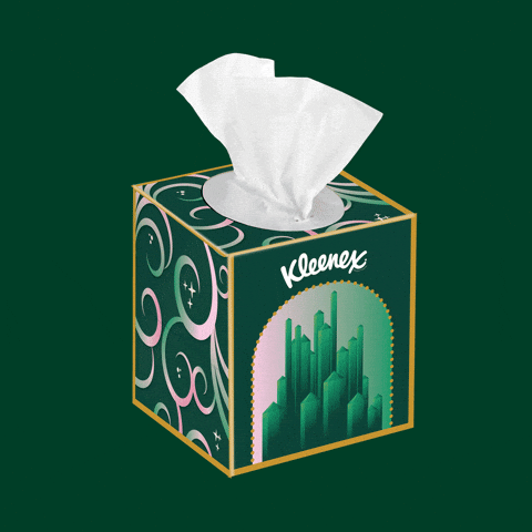 GIF by Kleenex
