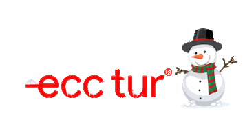 Snow Winter Sticker by Ecc tur