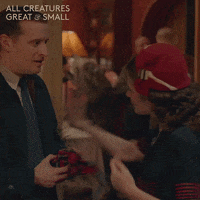 Punch Flirting GIF by All Creatures Great And Small