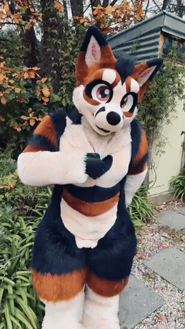 Furry GIF