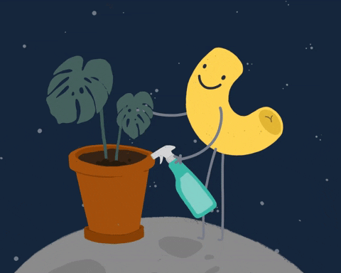 Wateringplants GIFs - Get the best GIF on GIPHY