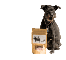 Oliver Sticker by RawInstincts