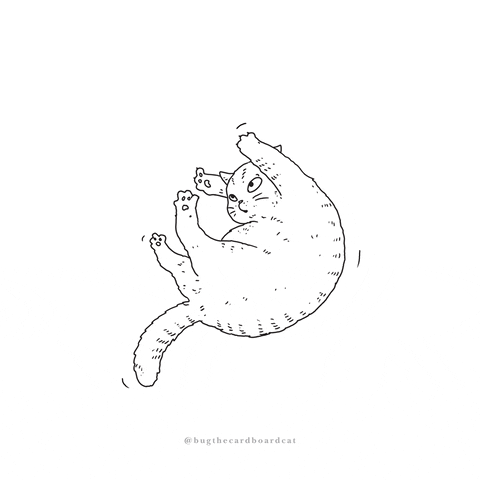 Rolling Fat Cat GIF