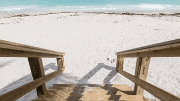 Beach Home GIF by Title Solutions LLC