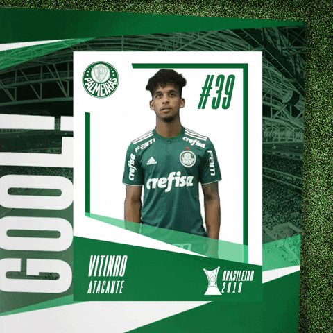 vitinho GIF by SE Palmeiras