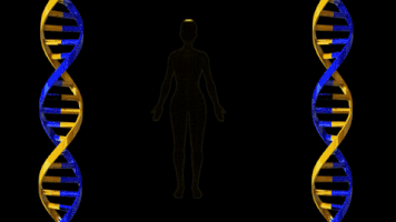 Dna Genetics GIF