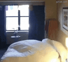 reversed rise and shine GIF