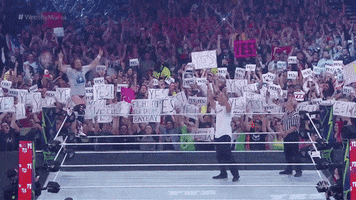 daniel bryan sport GIF by WWE