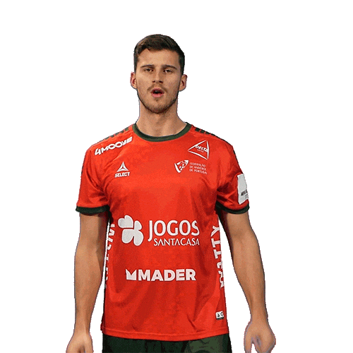 Celebrating Sticker by Federação de Andebol de Portugal