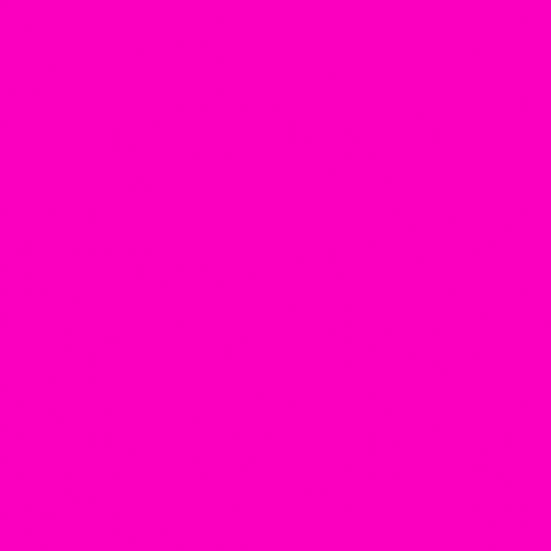 Fashion Pink GIF by Sweet Charee Gallery