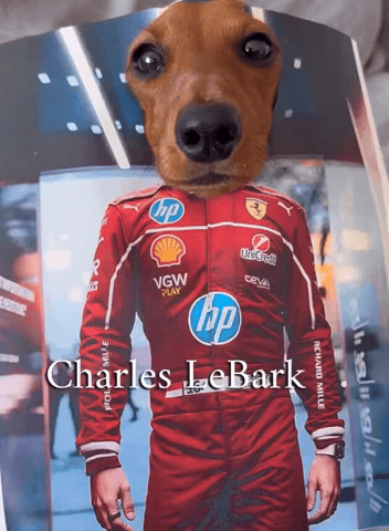 Charles Leclerc GIF