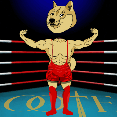 Shiba Inu Fighting GIF by The Order of the Egonauts
