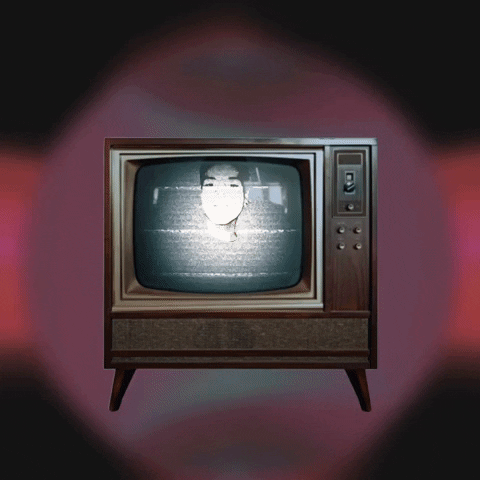 santiagogurrola tv vintage vhs santiago GIF