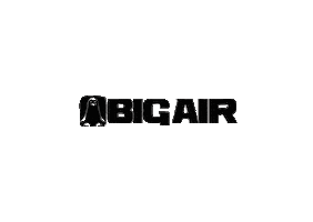 bigairshop Sticker