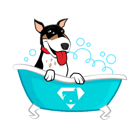 Bali Cacau Sticker by Bono Surf Dog