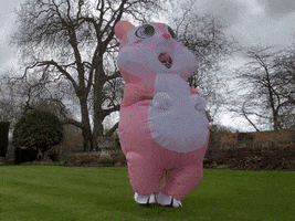 Happy GIF