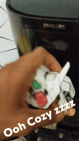 Ducksen Fry GIF