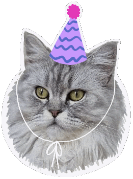 Cat In Party Hat Sticker