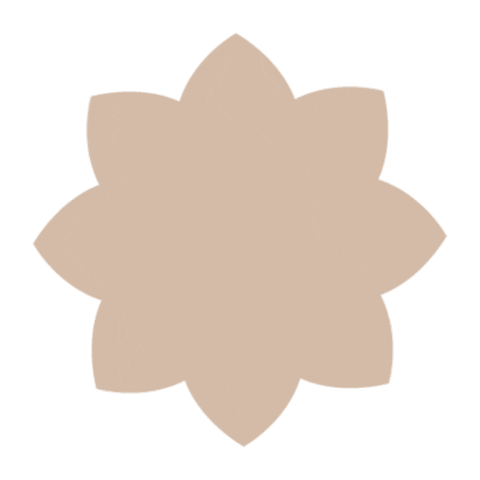 paulaschoicesg Sticker